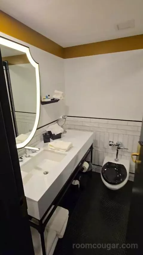 Junior Suite, One King, Sofa Bed (#176) bathroom picture #1
