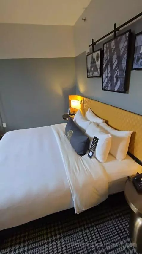 Deluxe Room, King Accessible (#321) picture #13