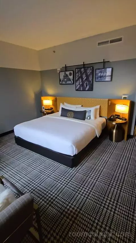 Deluxe Room, King Accessible (#321) picture #14
