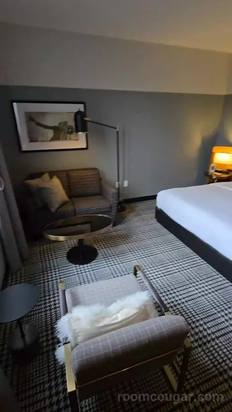 Deluxe Room, King Accessible (#321) picture #15