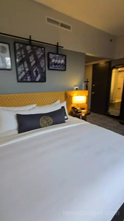 Deluxe Room, King Accessible (#321) picture #17