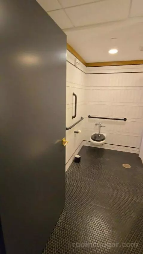 Deluxe Room, King Accessible (#321) picture #3