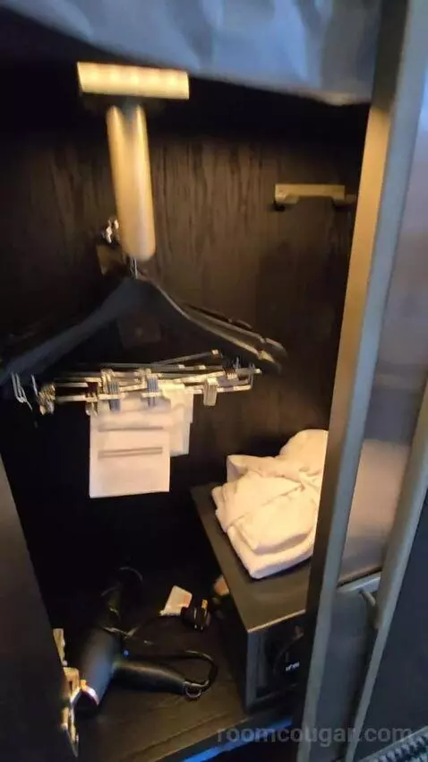 Deluxe Room, King Accessible (#321) picture #22