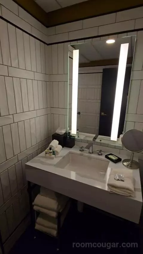 Deluxe Room, King Accessible (#321) bathroom picture #1