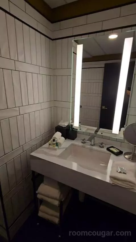 Deluxe Room, King Accessible (#321) bathroom picture #2