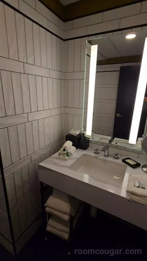 Deluxe Room, King Accessible (#321) bathroom picture #3