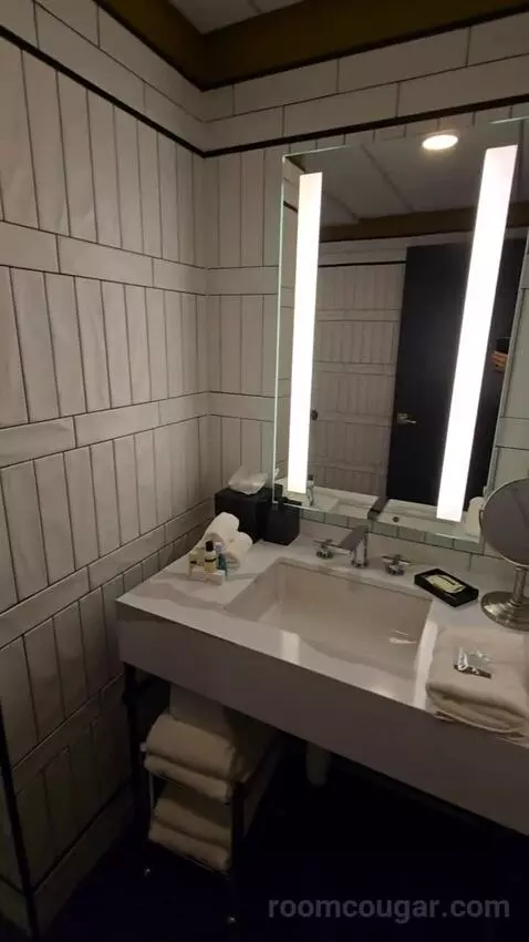 Deluxe Room, King Accessible (#321) picture #4