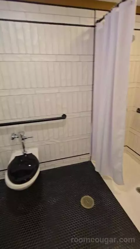 Deluxe Room, King Accessible (#321) bathroom picture #5