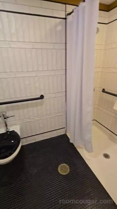 Deluxe Room, King Accessible (#321) bathroom picture #6