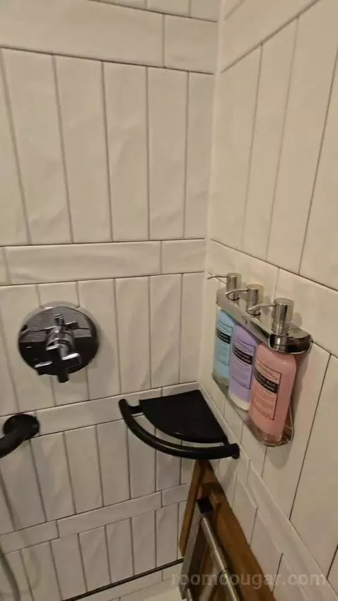 Deluxe Room, King Accessible (#321) picture #6
