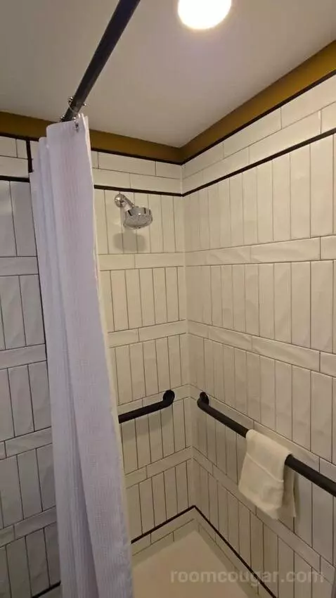 Deluxe Room, King Accessible (#321) bathroom picture #10