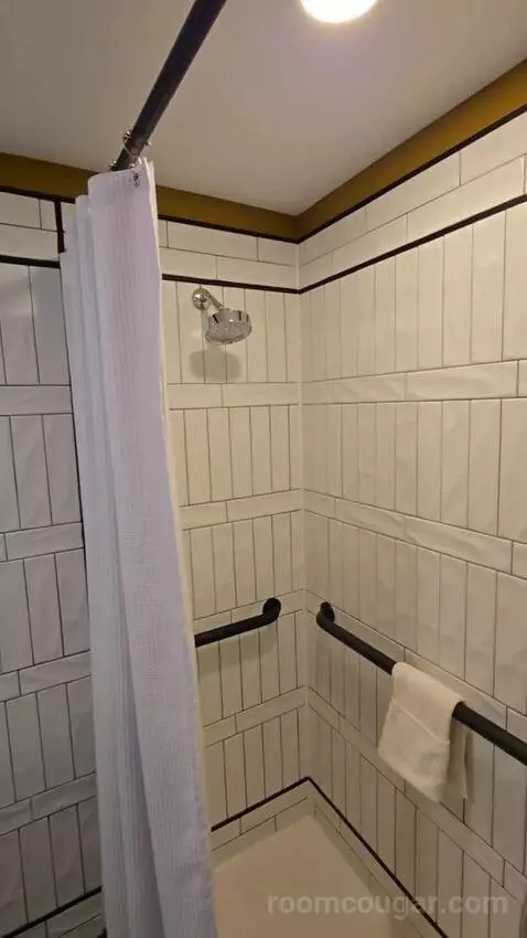 Deluxe Room, King Accessible (#321) bathroom picture #12