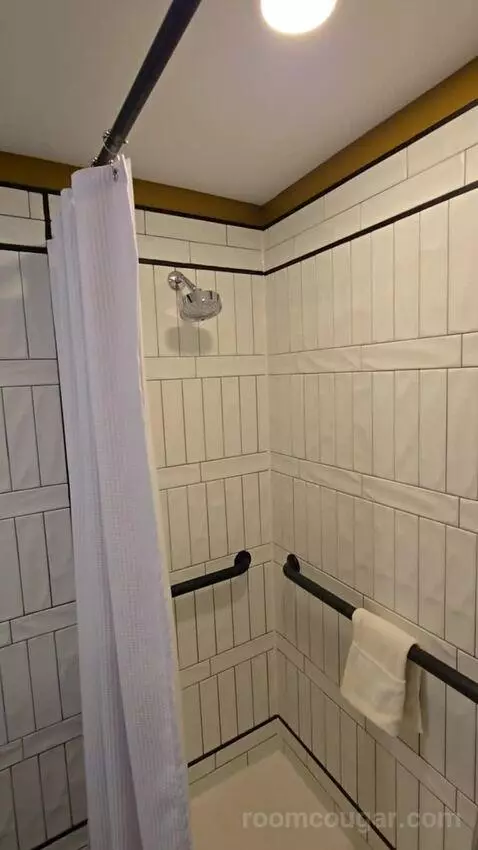 Deluxe Room, King Accessible (#321) picture #7