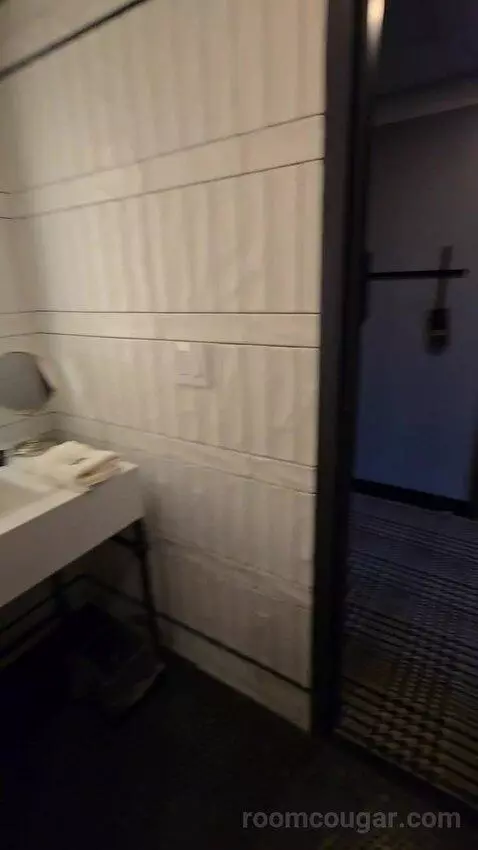 Deluxe Room, King Accessible (#321) picture #10