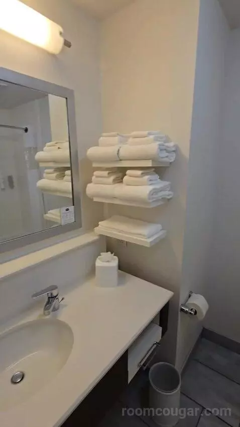 Queen Room with Two Queen Beds bathroom picture #6