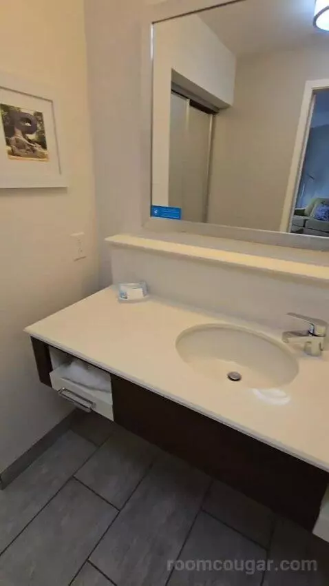 Corner King Room with Sofa Bed bathroom picture #7