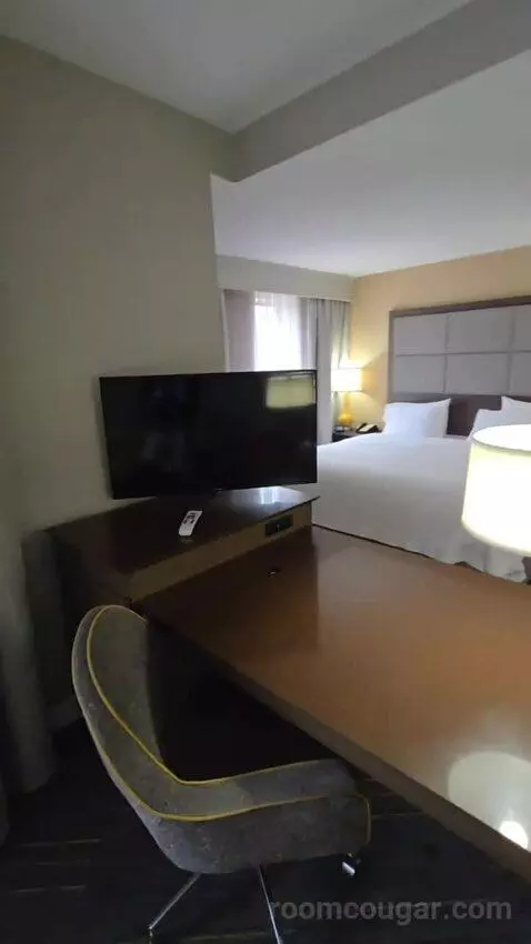 Corner King Room with Sofa Bed bed picture #7