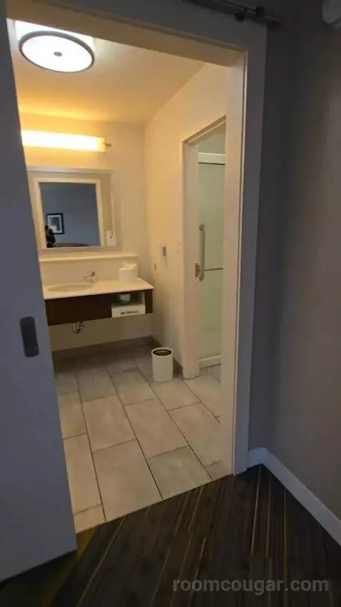 Corner King Room with Sofa Bed bathroom picture #2