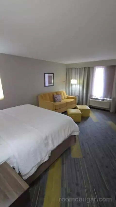King Room with Sofa Bed bed picture #3