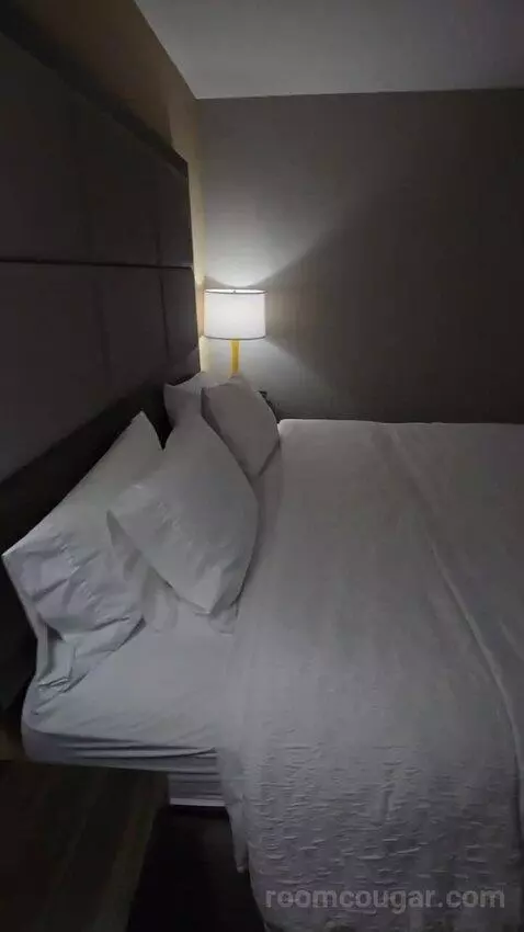 King Room with Sofa Bed bed picture #4
