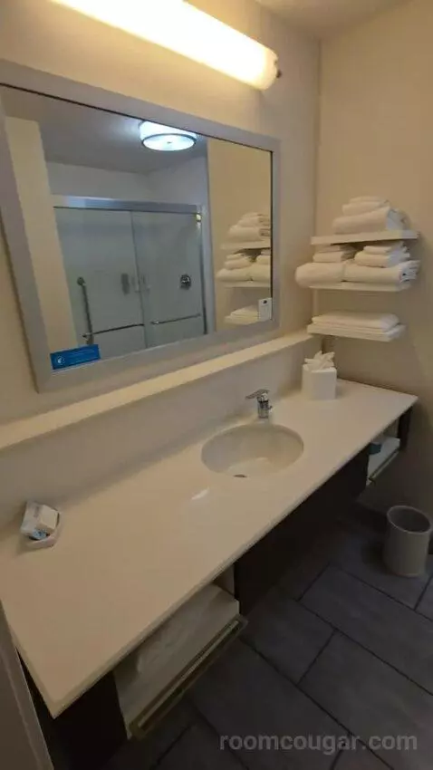 King Room with Sofa Bed bathroom picture #1