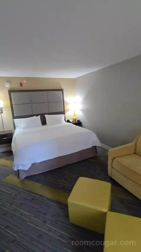 King Room with Sofa Bed bed picture #6
