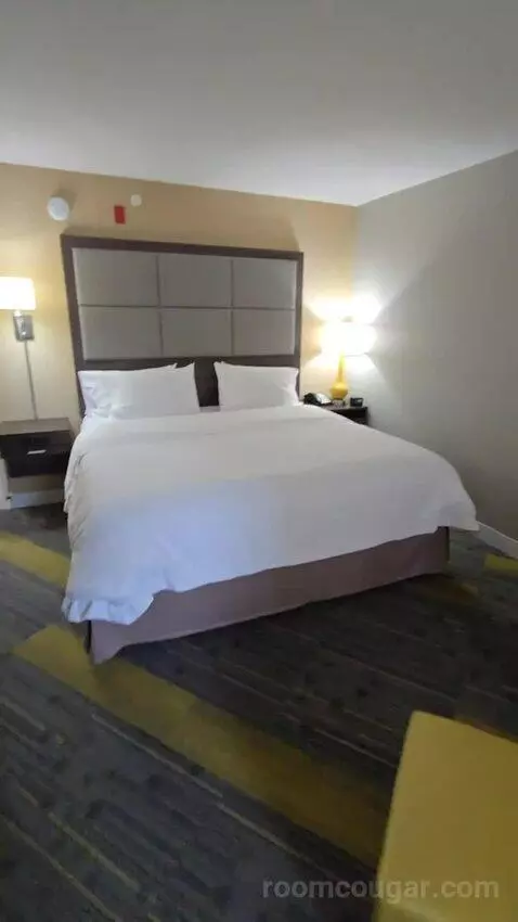 King Room with Sofa Bed bed picture #7