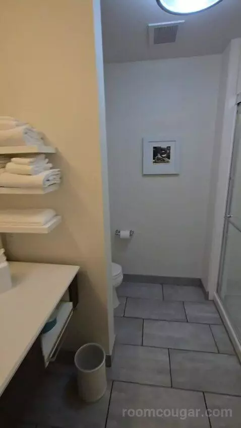 King Room with Sofa Bed bathroom picture #3