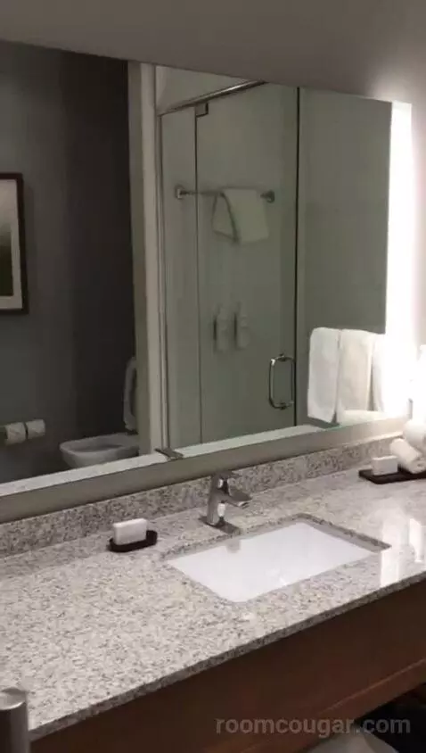 Two Room King Suite (#1723) bathroom picture #3