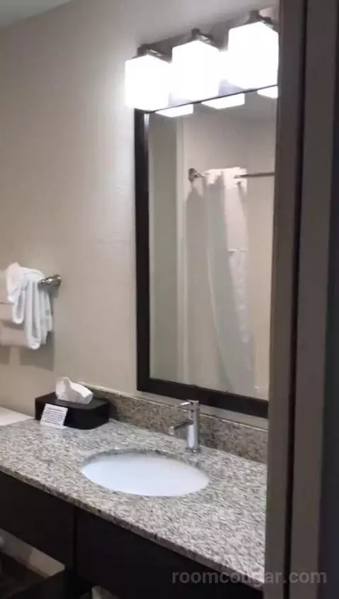 Standard, Two Queen (#205) bathroom picture #1