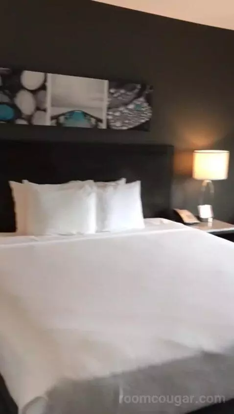 Standard, One King (#215) bed picture #7
