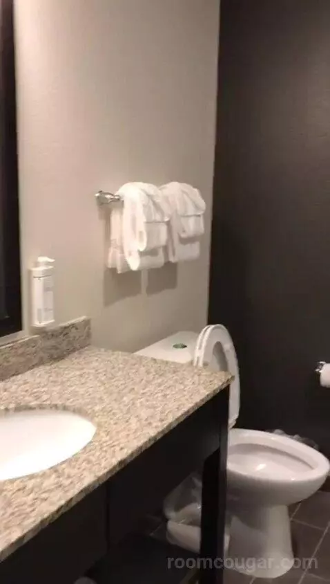 Standard, One King (#215) bathroom picture #3
