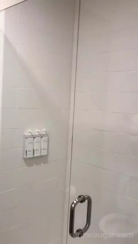 Standard, One King (#215) bathroom picture #4