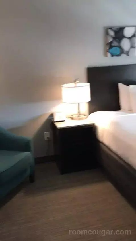 Kitchenette Suite, One King Bed (#401) bed picture #1