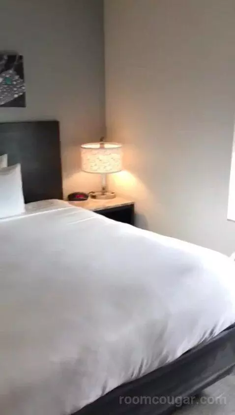 Kitchenette Suite, One King Bed (#401) bed picture #2