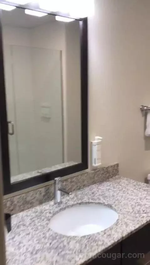 Kitchenette Suite, One King Bed (#401) bathroom picture #6