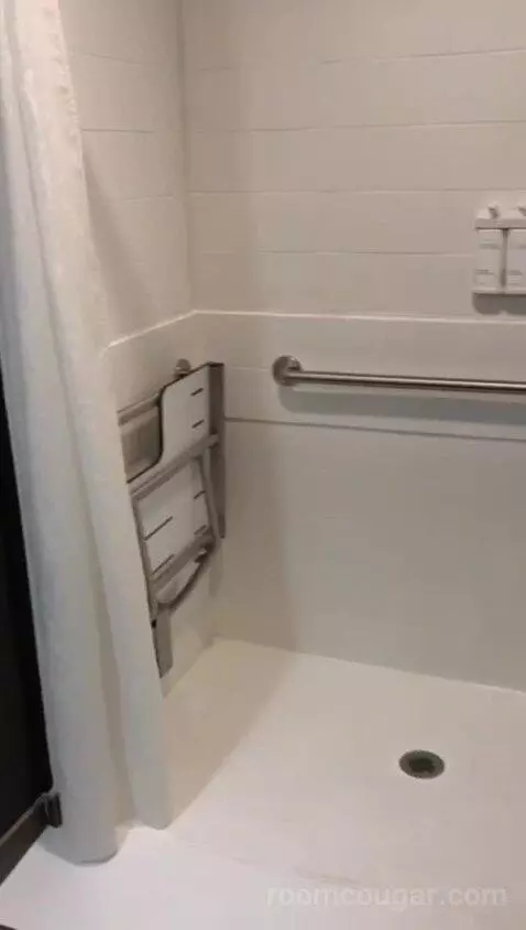 Accessible, One King (#308) bathroom picture #7