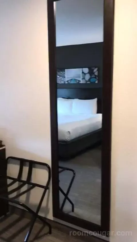 Accessible, One King (#308) bed picture #3