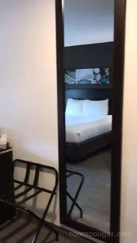 Accessible, One King (#308) bed picture #4
