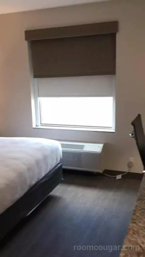 Accessible, One King (#308) bed picture #5