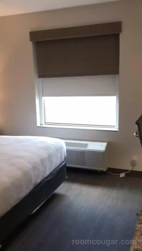 Accessible, One King (#308) bed picture #6