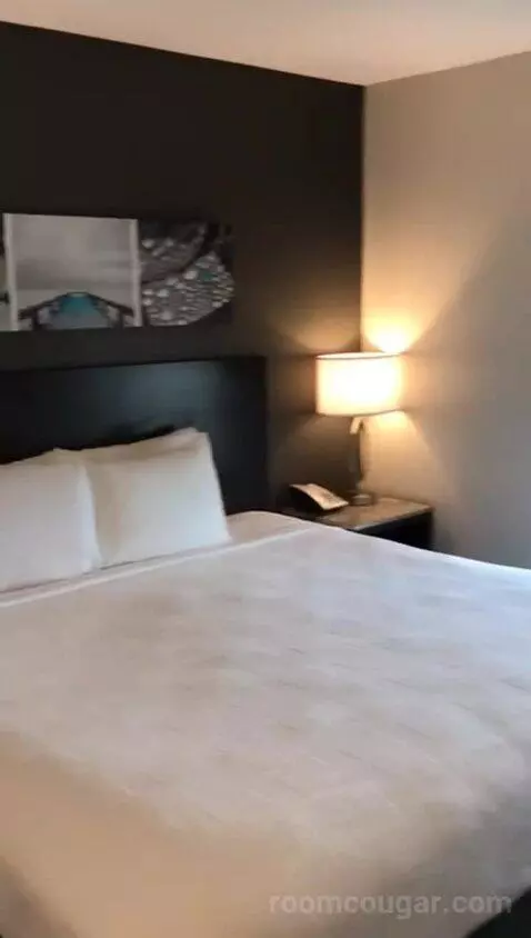 Accessible, One King (#308) bed picture #7
