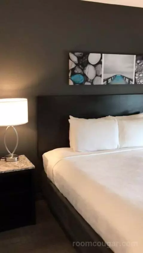 Accessible, One King (#308) bed picture #9