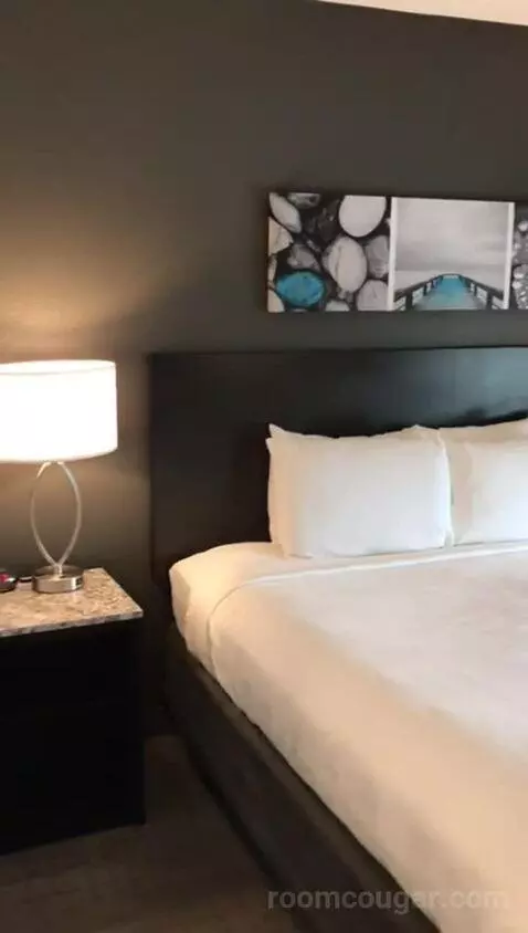 Accessible, One King (#308) bed picture #10