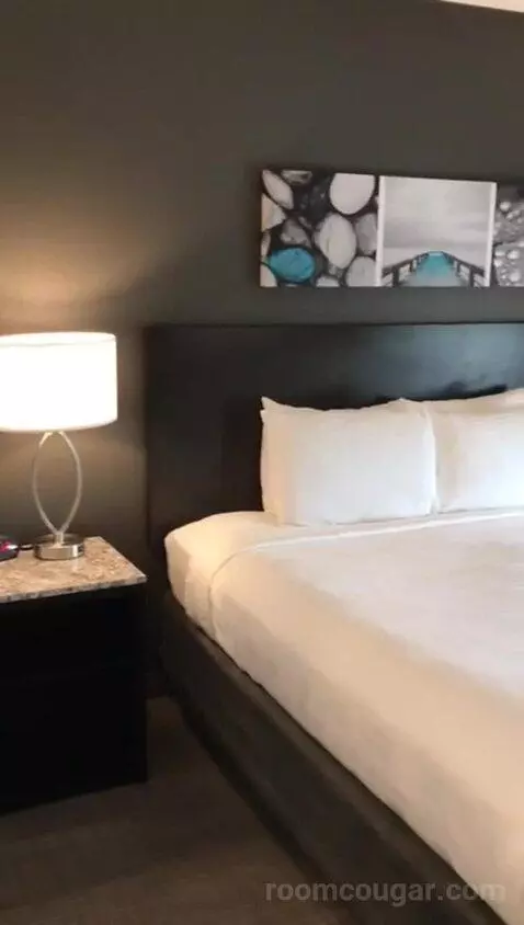 Accessible, One King (#308) bed picture #12