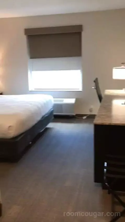 Accessible, One King (#308) bed picture #1
