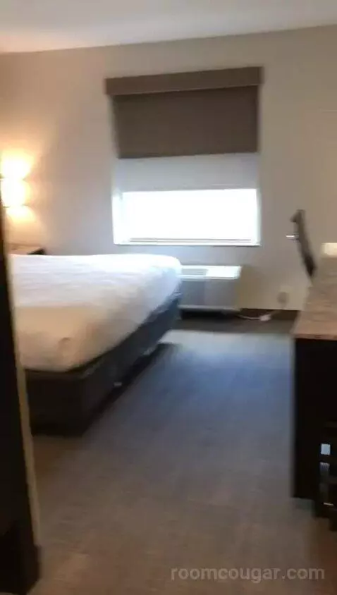 Accessible, One King (#308) bed picture #2