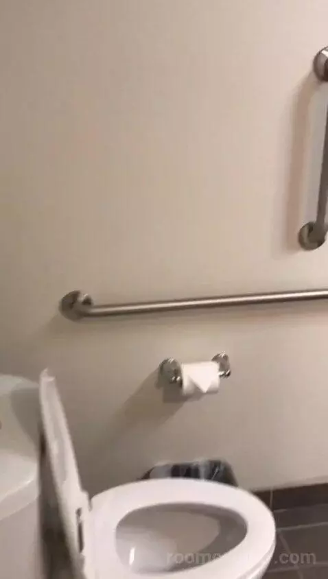 Accessible, One King (#308) bathroom picture #4