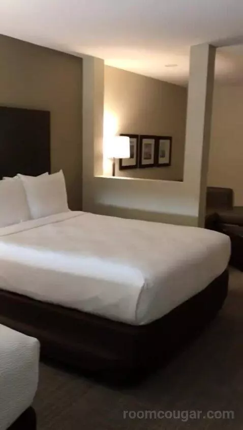 Queen Suite with Two Queen Beds and Bath Tub - Disability Access (#411) bed picture #11