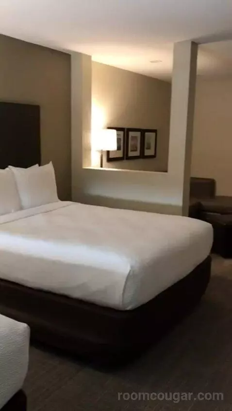 Queen Suite with Two Queen Beds and Bath Tub - Disability Access (#411) bed picture #12